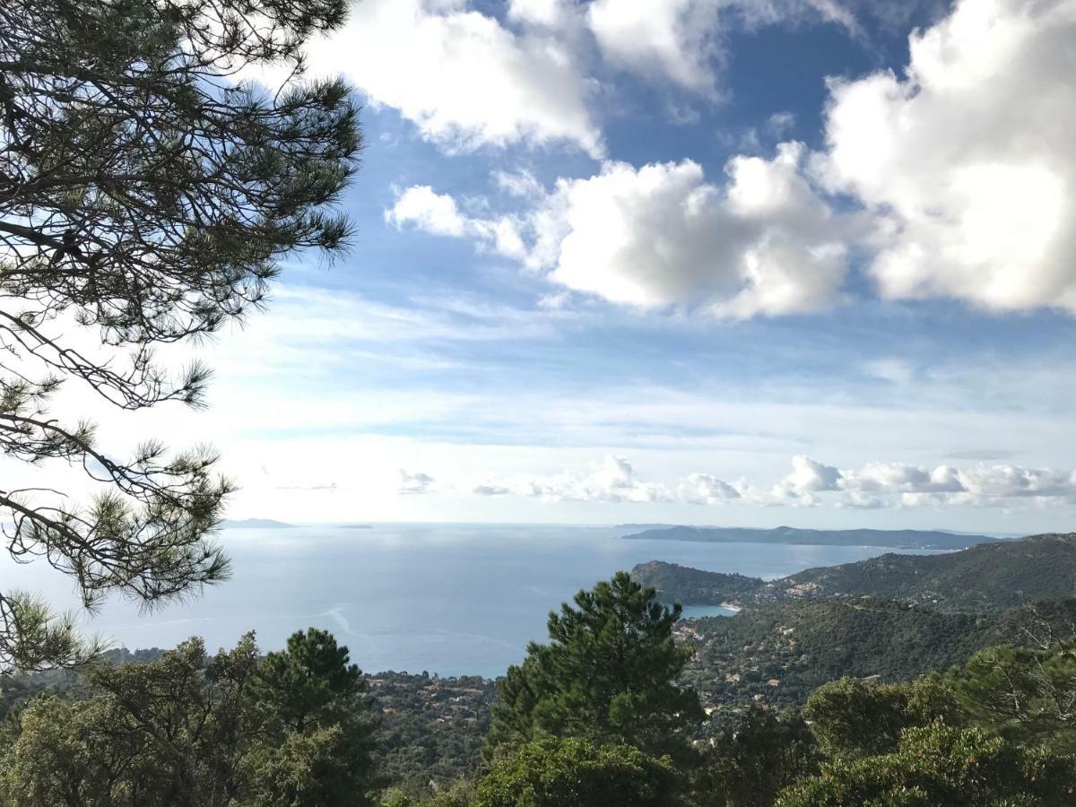 Le Rayol-Canadel-sur-MerT2 Moderne Avec Jardinアパートメント エクステリア 写真